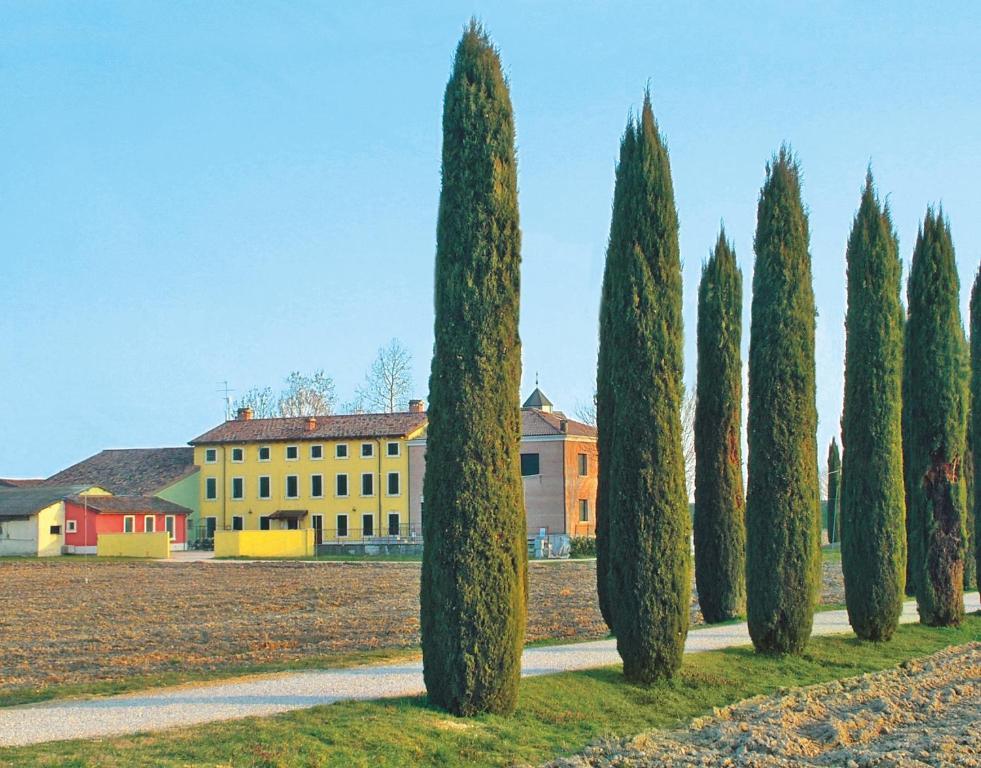Bb Mambrotta Guest House San Martino Buon Albergo Exterior photo